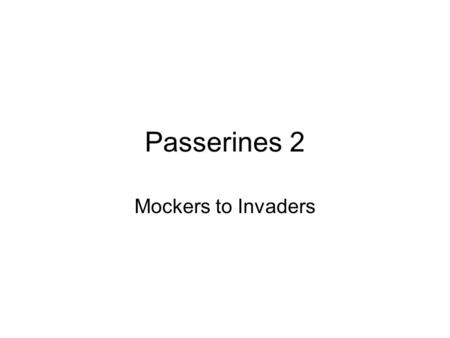 Passerines 2 Mockers to Invaders. Vocal Prowess Biotic Invasion.