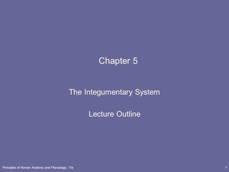 The Integumentary System Lecture Outline