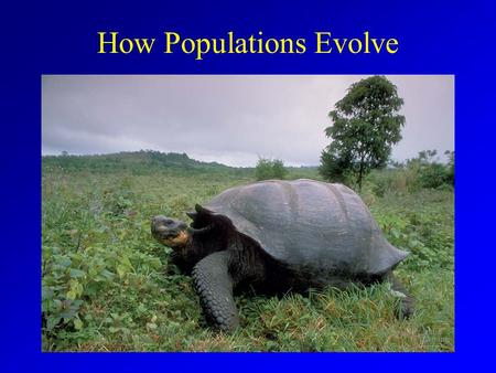 How Populations Evolve. Historical Theories Anaximander (~2500 yrs ago) Aristotle Georges Buffon (1700’s) Jean Baptist Lemark (late 1700’s - early1800’s)