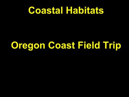 Coastal Habitats Oregon Coast Field Trip. Animals of the Benthos  98% of marine species are benthic  Hydrothermal vents  Coral reefs  Rocky shore.
