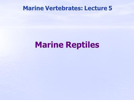 Marine Vertebrates: Lecture 5
