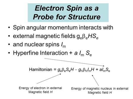 Electron Spin as a Probe for Structure Spin angular momentum interacts with external magnetic fields g e  e HS e and nuclear spins I m Hyperfine Interaction.