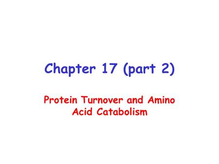 Chapter 17 (part 2) Protein Turnover and Amino Acid Catabolism.