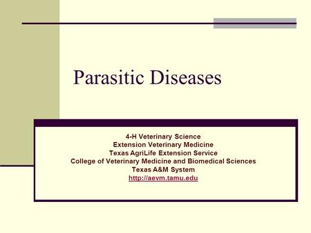 Parasitic Diseases 4-H Veterinary Science Extension Veterinary Medicine Texas AgriLife Extension Service College of Veterinary Medicine and Biomedical.
