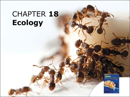 CHAPTER 18 Ecology.