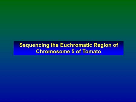 Sequencing the Euchromatic Region of Chromosome 5 of Tomato.