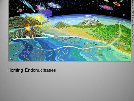 Mural at NASA Ames Research Center Homing Endonucleases.