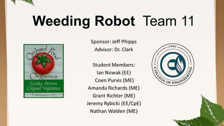Weeding Robot Team 11 Sponsor: Jeff Phipps Advisor: Dr. Clark Student Members: Ian Nowak (EE) Coen Purvis (ME) Amanda Richards (ME) Grant Richter (ME)