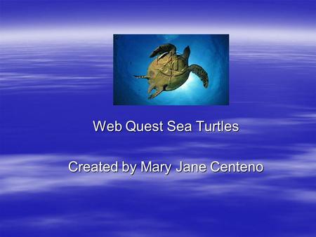 Web Quest Sea Turtles Created by Mary Jane Centeno.