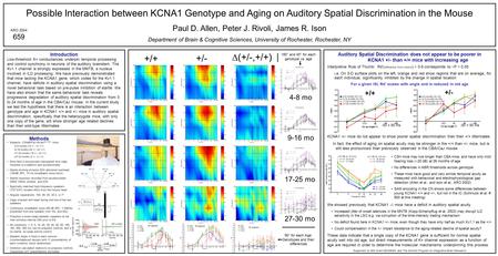 Possible Interaction between KCNA1 Genotype and Aging on Auditory Spatial Discrimination in the Mouse Paul D. Allen, Peter J. Rivoli, James R. Ison Department.