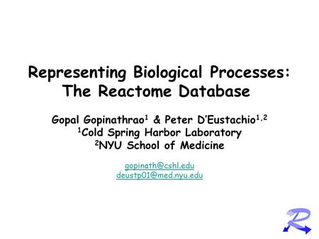 Representing Biological Processes: The Reactome Database Gopal Gopinathrao 1 & Peter D’Eustachio 1,2 1 Cold Spring Harbor Laboratory 2 NYU School of Medicine.