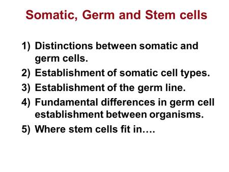 Somatic, Germ and Stem cells 1)Distinctions between somatic and germ cells. 2)Establishment of somatic cell types. 3)Establishment of the germ line. 4)Fundamental.