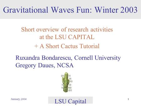 January, 2004 LSU Capital 1 Gravitational Waves Fun: Winter 2003 Short overview of research activities at the LSU CAPITAL + A Short Cactus Tutorial Ruxandra.