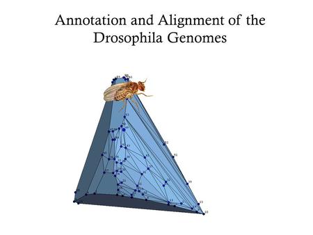 Annotation and Alignment of the Drosophila Genomes.