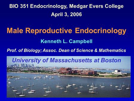 BIO 351 Endocrinology, Medgar Evers College April 3, 2006 Male Reproductive Endocrinology Kenneth L. Campbell Prof. of Biology; Assoc. Dean of Science.