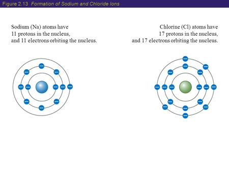 Sodium (Na) atoms have 11 protons in the nucleus, and 11 electrons orbiting the nucleus. Chlorine (Cl) atoms have 17 protons in the nucleus, and 17 electrons.