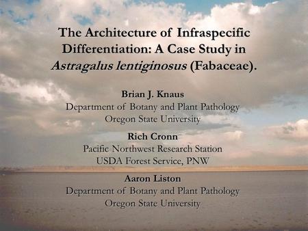 The Architecture of Infraspecific Differentiation: A Case Study in Astragalus lentiginosus (Fabaceae). Brian J. Knaus Department of Botany and Plant Pathology.
