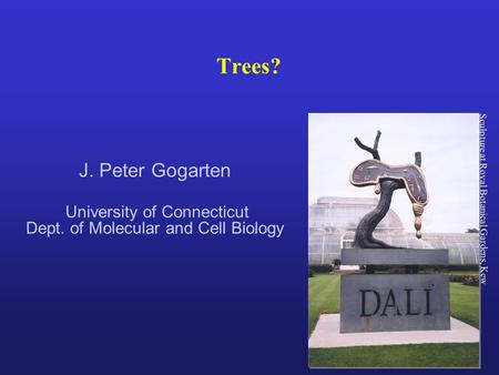 Trees? J. Peter Gogarten University of Connecticut Dept. of Molecular and Cell Biology Sculpture at Royal Botanical Gardens, Kew.
