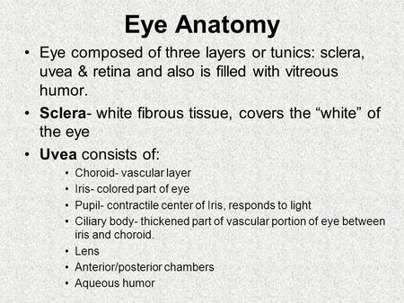 Eye Anatomy Eye composed of three layers or tunics: sclera, uvea & retina and also is filled with vitreous humor. Sclera- white fibrous tissue, covers.