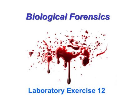 Biological Forensics Laboratory Exercise 12. Forensics Lab Objectives  Learn the definition of forensic science.  Examine ways biological information.