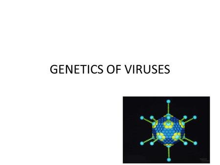 GENETICS OF VIRUSES. The Basics Compare the size! Two basic components: – A diverse genome ssDNA dsDNA (Smallpox) ssRNA (Measles) dsRNA – Capsid/Envelope.