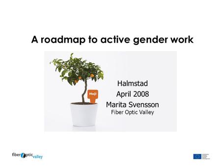 A roadmap to active gender work Halmstad April 2008 Marita Svensson Fiber Optic Valley.