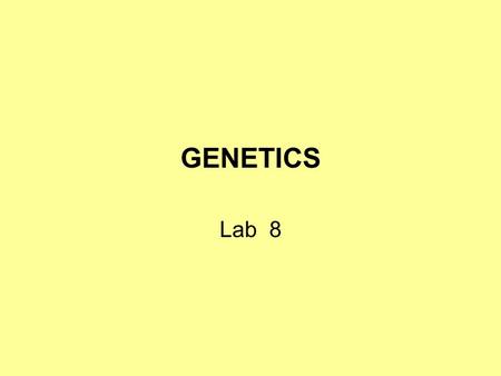 GENETICS Lab 8. Objetives Be able to define the following terms a- genes j- locus b- alleles k-chromosome c- homozygous l- sex chrom. d- heterozygous.