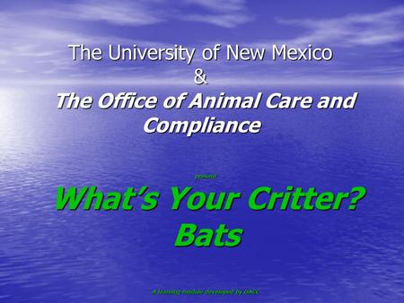 The University of New Mexico & The Office of Animal Care and Compliance present What’s Your Critter? Bats A learning module developed by OACC.