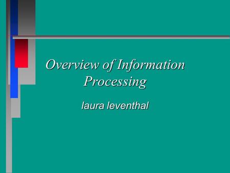 Overview of Information Processing laura leventhal.