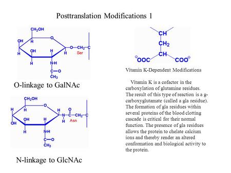 O-linkage to GalNAc N-linkage to GlcNAc Posttranslation Modifications 1 Vitamin K-Dependent Modifications Vitamin K is a cofactor in the carboxylation.