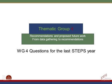 Recommendations and proposed future work From data gathering to recommendations Thematic Group 4 WG 4 Questions for the last STEPS year.