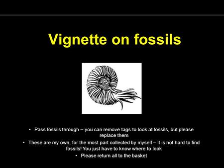 Vignette on fossils Pass fossils through – you can remove tags to look at fossils, but please replace them These are my own, for the most part collected.