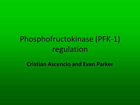 Phosphofructokinase (PFK-1) regulation Cristian Ascencio and Evan Parker.