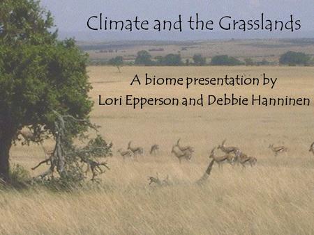 Climate and the Grasslands A biome presentation by Lori Epperson and Debbie Hanninen.