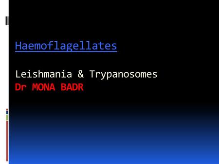 Haemoflagellates Leishmania & Trypanosomes Dr MONA BADR