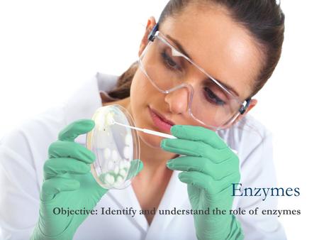 Enzymes Objective: Identify and understand the role of enzymes.