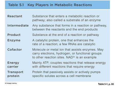 Table 5-1, p. 80. Energy In, Energy Out Chemical reactions –Reactants (molecules in) –Products (molecules out) Endergonic reactions (energy-requiring)