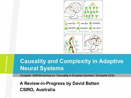 Complex ‘2009 Workshop on “Causality in Complex Systems” (Complex CCS) A Review-in-Progress by David Batten CSIRO, Australia Causality and Complexity in.