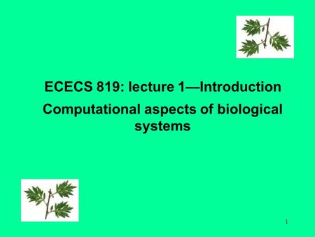 1 ECECS 819: lecture 1—Introduction Computational aspects of biological systems.