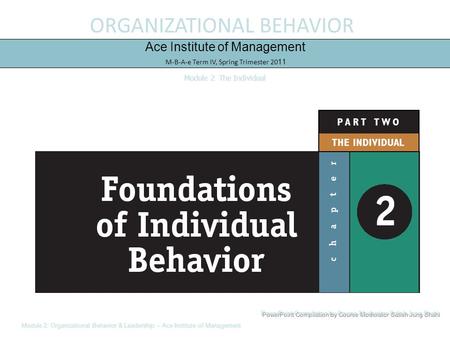 ORGANIZATIONAL BEHAVIOR Ace Institute of Management M-B-A-e Term IV, Spring Trimester 2011 Module 2: The Individual Module 2: Organizational Behavior &