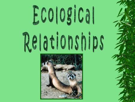 ❊ Ecology ❊ The study of the interaction of populations of living organisms with other populations and with the environment ❊ Population ❊ A group of.