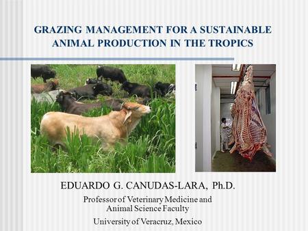 EDUARDO G. CANUDAS-LARA, Ph.D. Professor of Veterinary Medicine and Animal Science Faculty University of Veracruz, Mexico GRAZING MANAGEMENT FOR A SUSTAINABLE.
