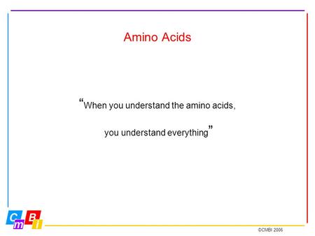©CMBI 2006 Amino Acids “ When you understand the amino acids, you understand everything ”
