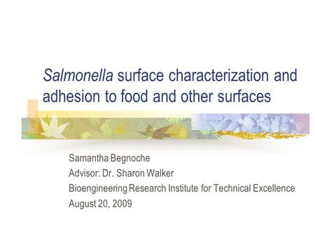 Salmonella surface characterization and adhesion to food and other surfaces Samantha Begnoche Advisor: Dr. Sharon Walker Bioengineering Research Institute.