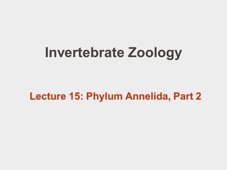 Lecture 15: Phylum Annelida, Part 2