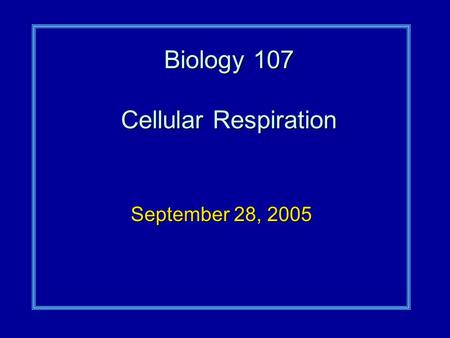 Biology 107 Cellular Respiration September 28, 2005.