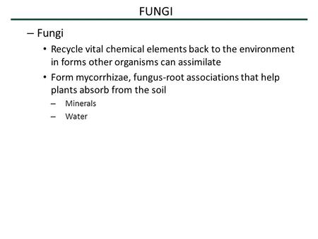 FUNGI – Fungi Recycle vital chemical elements back to the environment in forms other organisms can assimilate Form mycorrhizae, fungus-root associations.