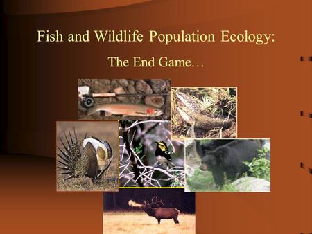 Fish and Wildlife Population Ecology: The End Game…