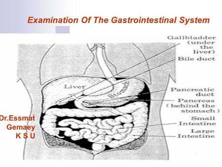 Examination Of The Gastrointestinal System
