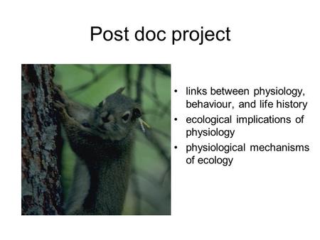 Post doc project links between physiology, behaviour, and life history ecological implications of physiology physiological mechanisms of ecology.